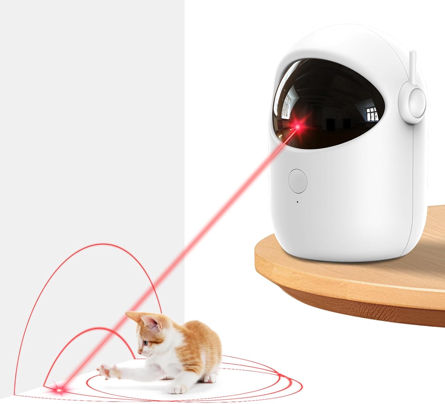 Automated Cat Toys for for Bored Indoor Adult Cats/Dogs/Kittenes